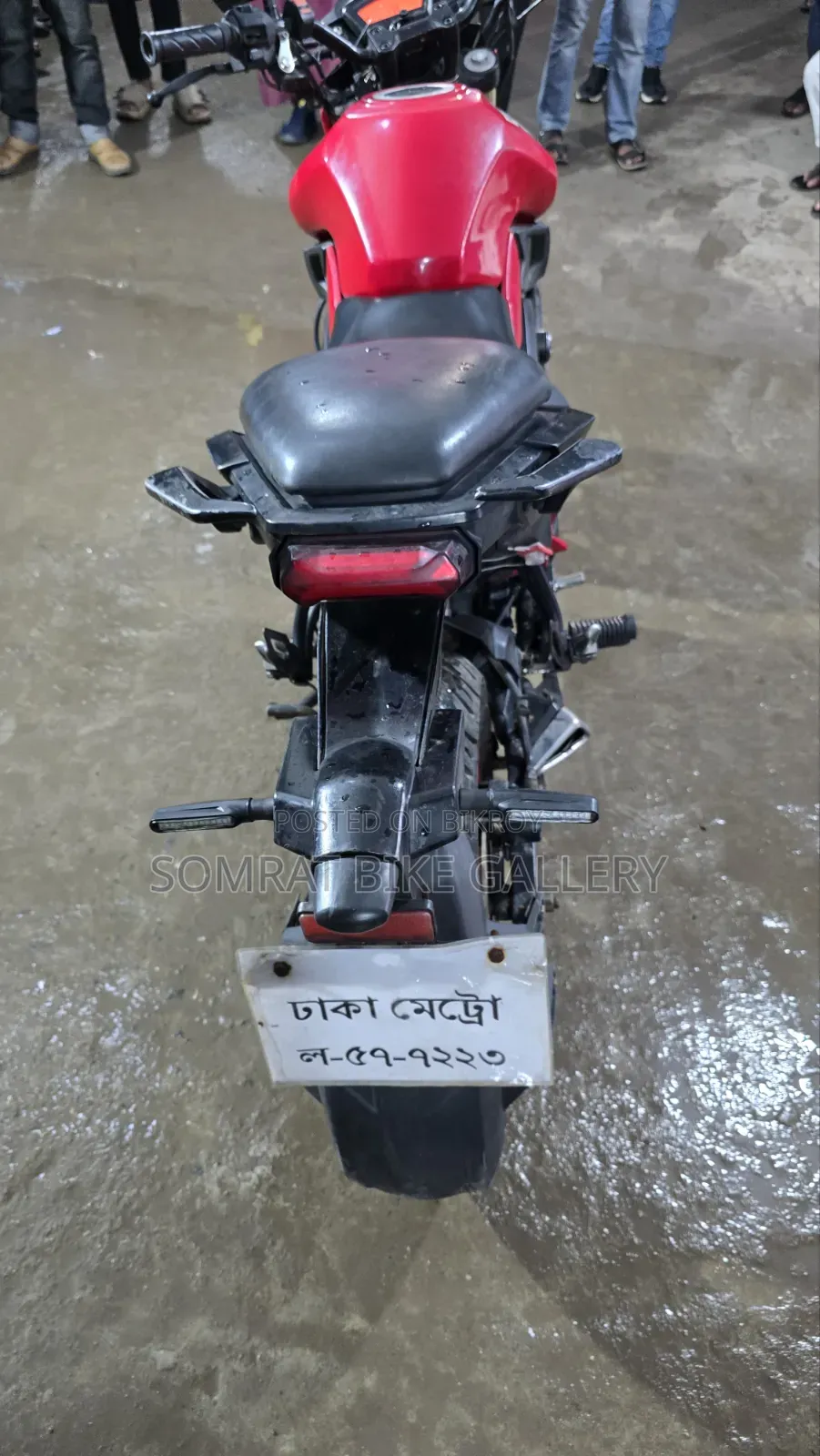 Runner Bolt 165R 2022 Red