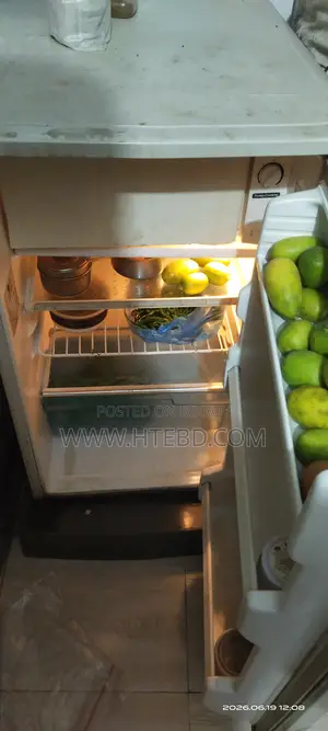 এলজি মিনি রেফ্রিজারেটর (ফ্রিজ)
