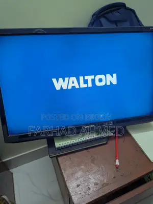 Walton 24 Inch Television
