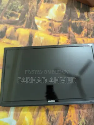 Walton 24 Inch Television
