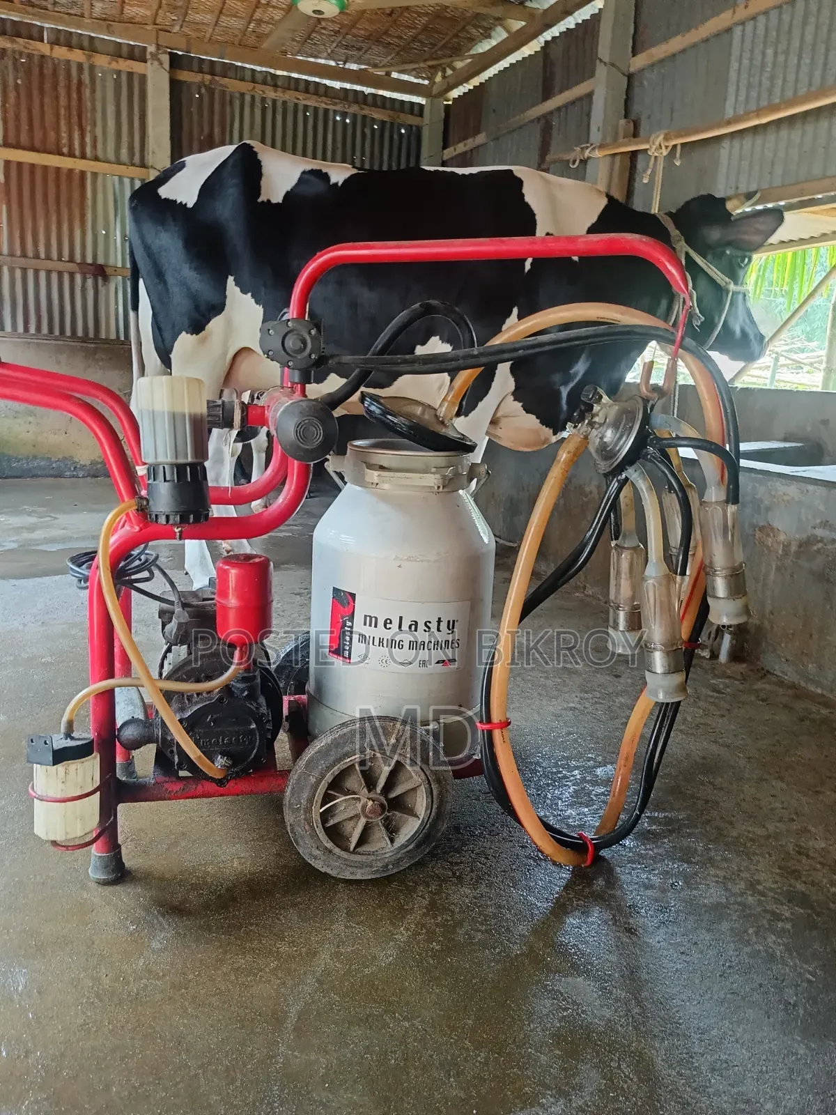 Melasty 25 Liter Milking Machine (Turkey) -Used, Excellent Condition
