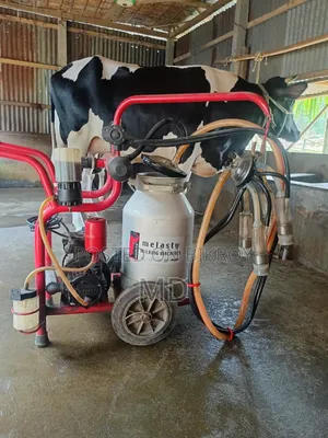Melasty 25 Liter Milking Machine (Turkey) -Used, Excellent Condition