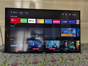 Sony Bravia TV