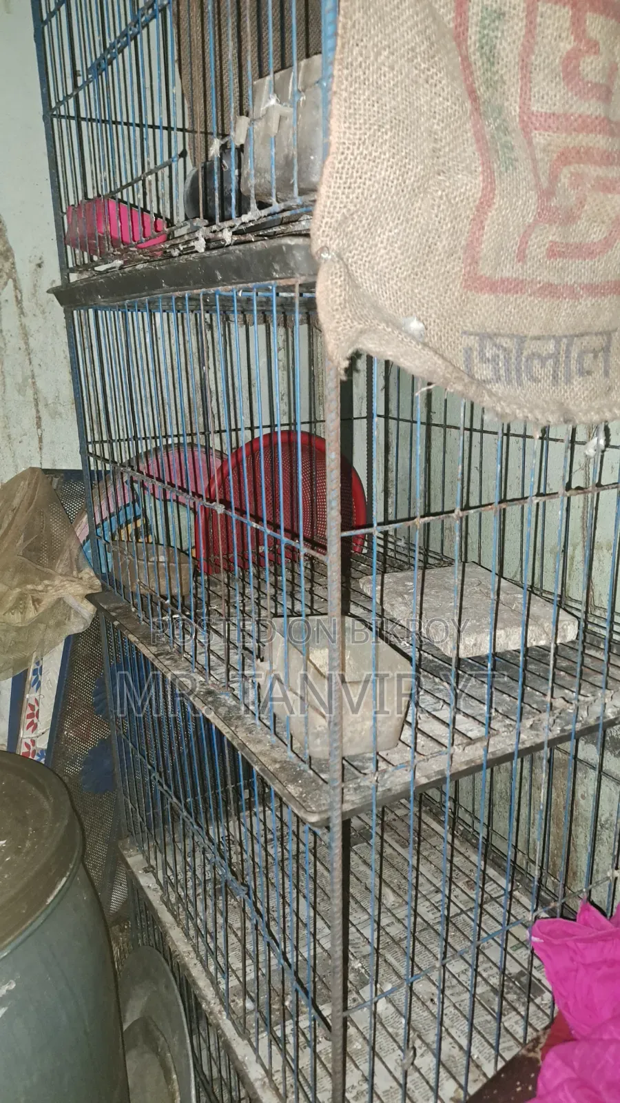 New Cage for Sale With Setup, Message Fast