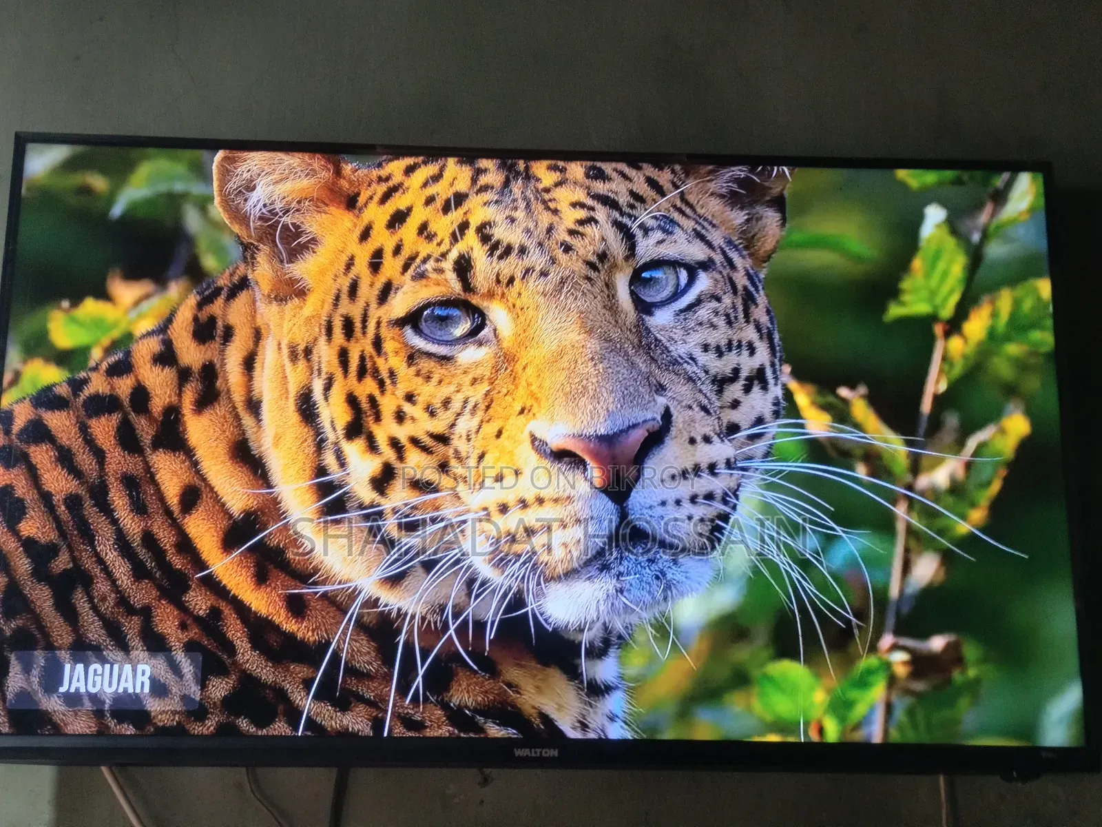 Walton TV