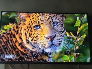 Walton TV