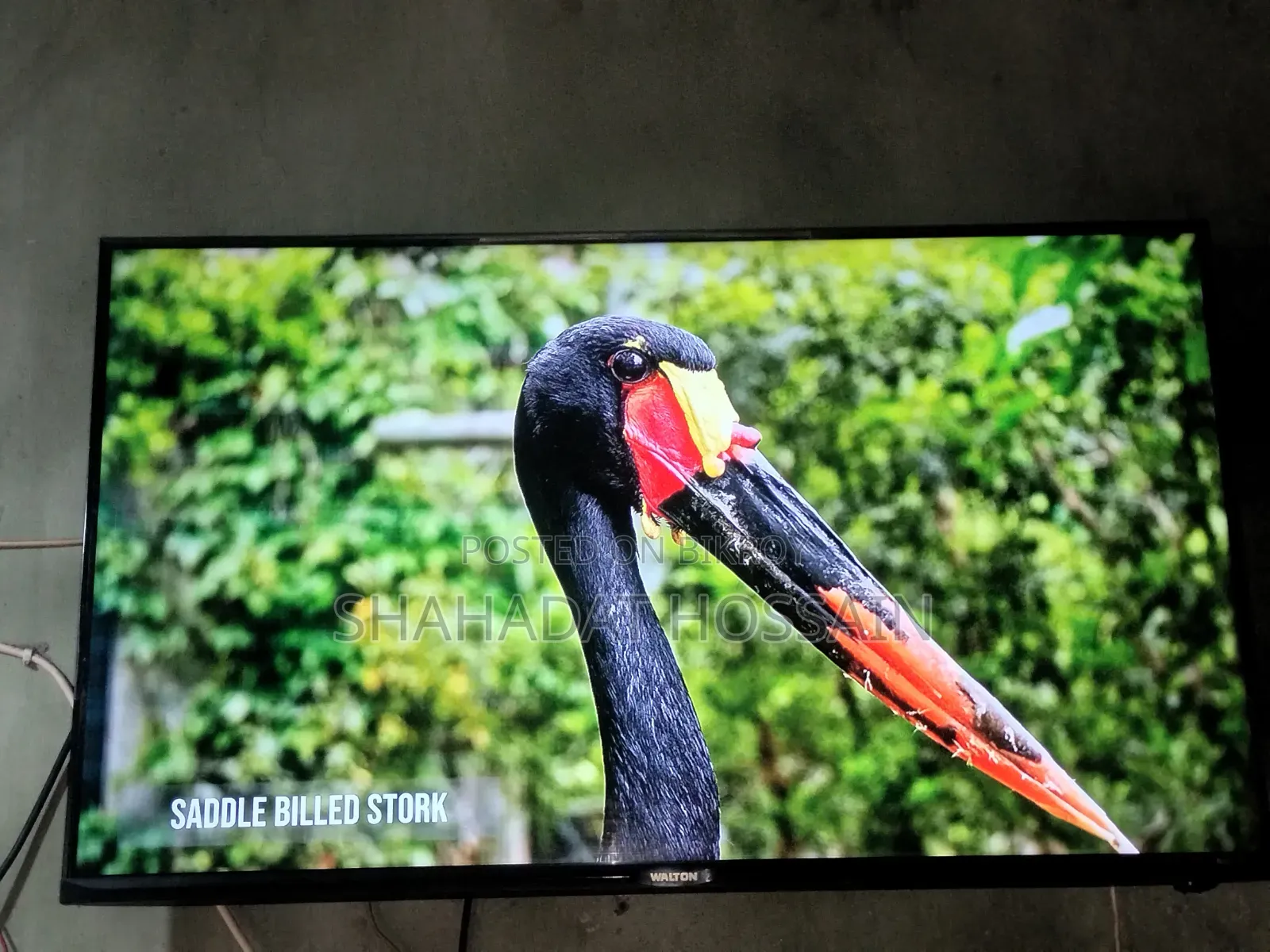 Walton TV