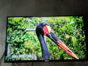 Walton TV