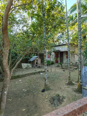 Land In Cox's Bazar
