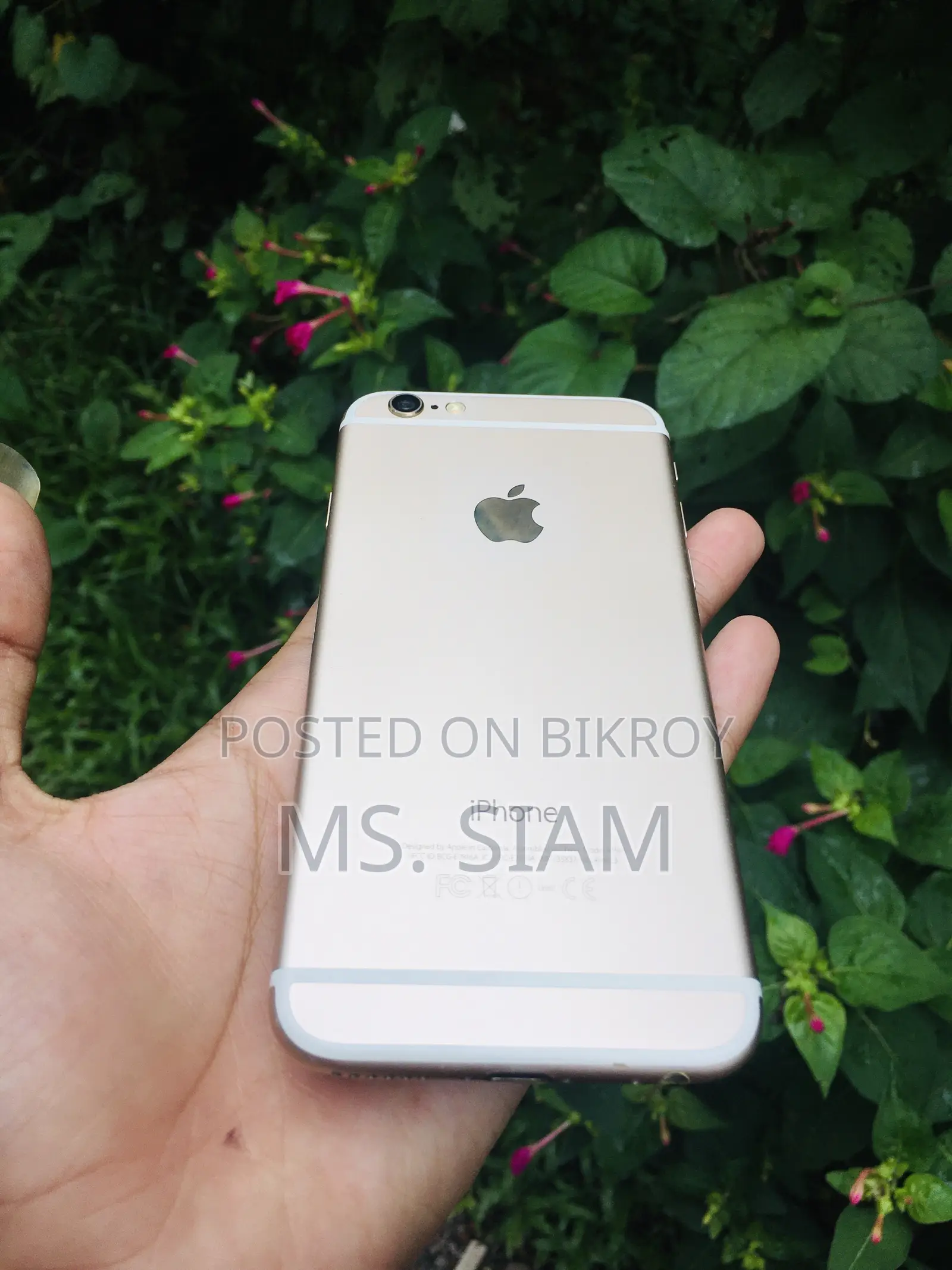 অ্যাপল আইফোন ৬ ৬৪ জিবি রোজ গোল্ড