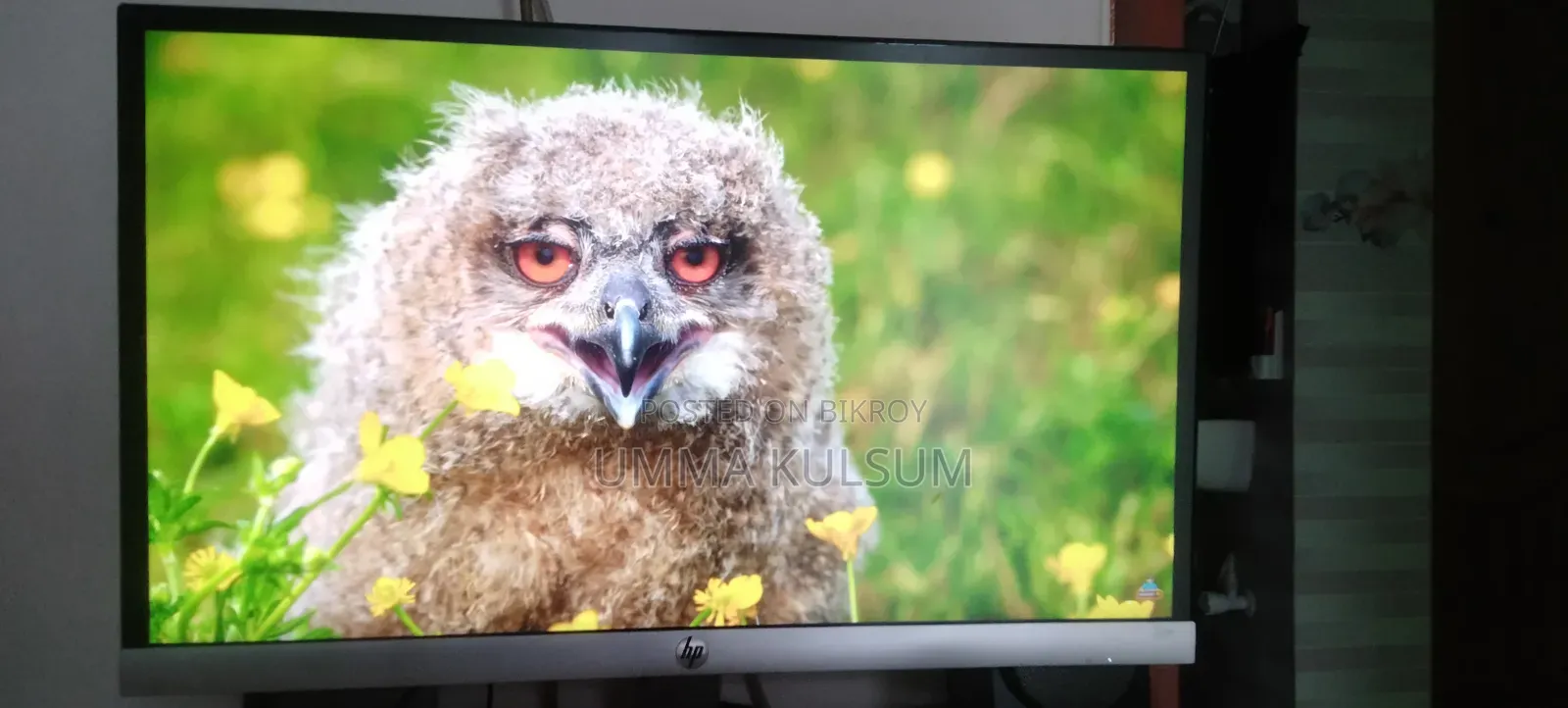 Hp Monitor 22er