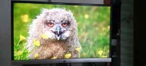 Hp Monitor 22er