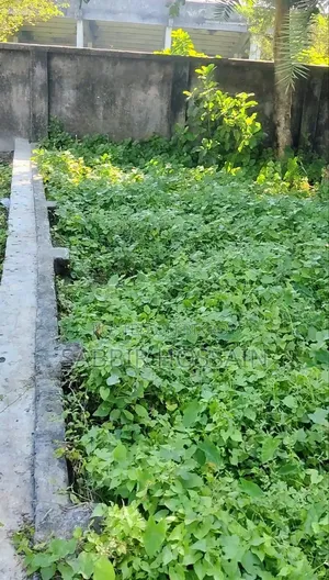 রাজশাহী তেরখাদিয়া উত্তরপাড়ায় ৪ কাঠার রেডি আবাসিক প্লট বিক্রয়!
