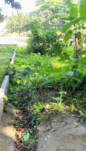 রাজশাহী তেরখাদিয়া উত্তরপাড়ায় ৪ কাঠার রেডি আবাসিক প্লট বিক্রয়!