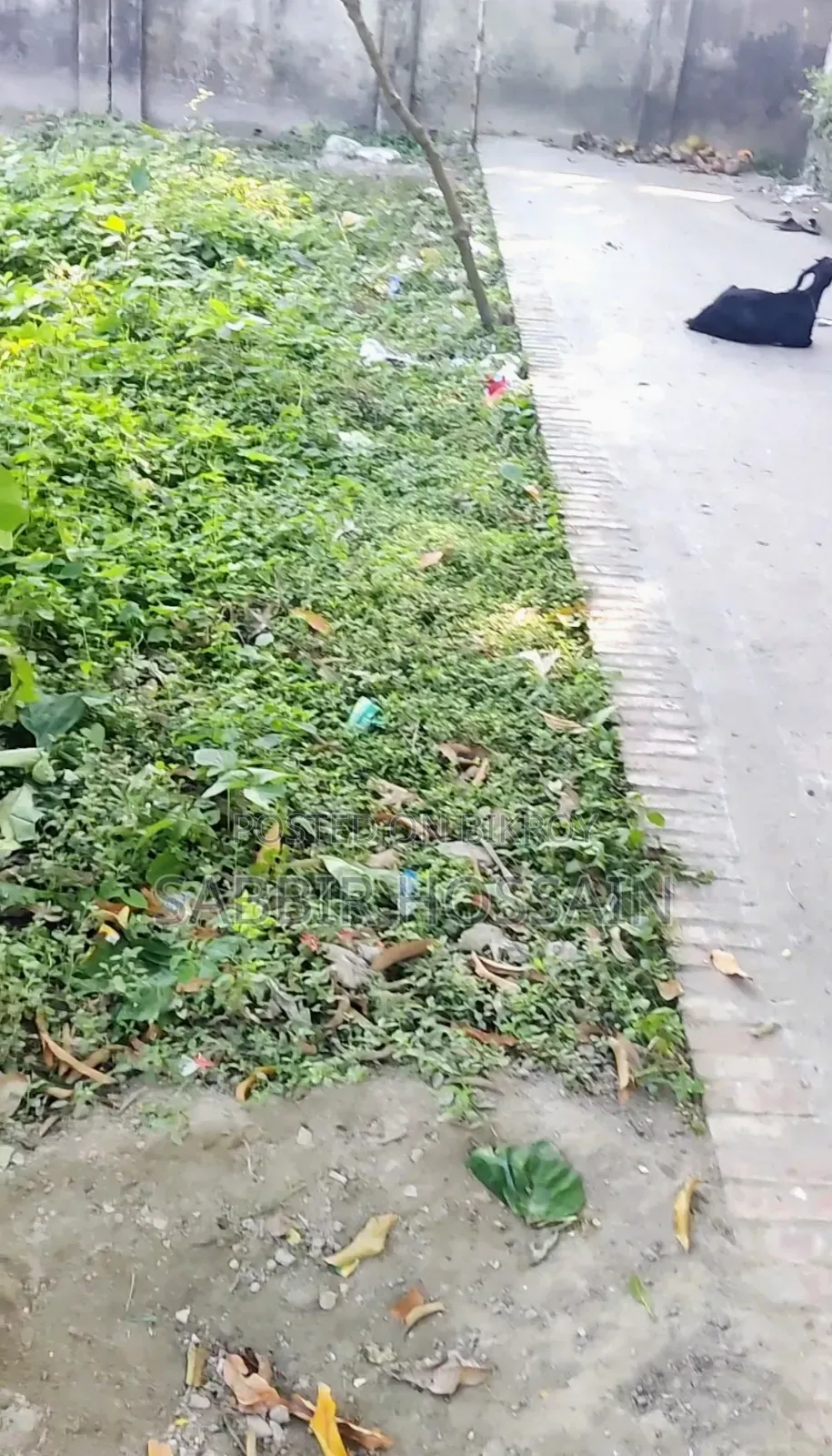 রাজশাহী তেরখাদিয়া উত্তরপাড়ায় ৪ কাঠার রেডি আবাসিক প্লট বিক্রয়!