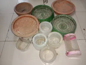 পাখির খাবার ও ডিম পাড়ার হাড়ি