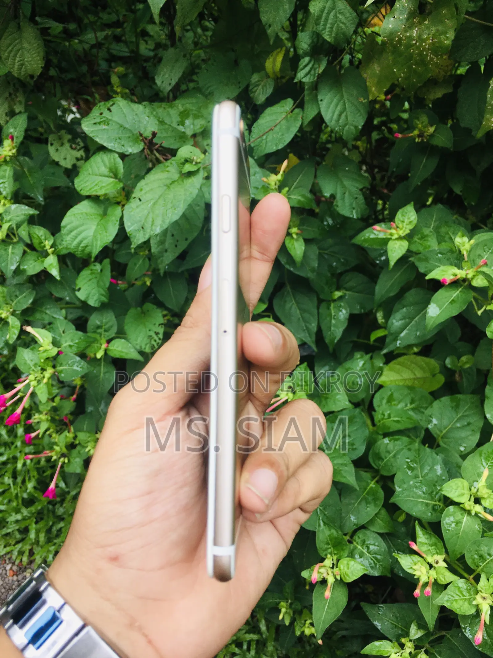 অ্যাপল আইফোন ৬ ৬৪ জিবি রোজ গোল্ড