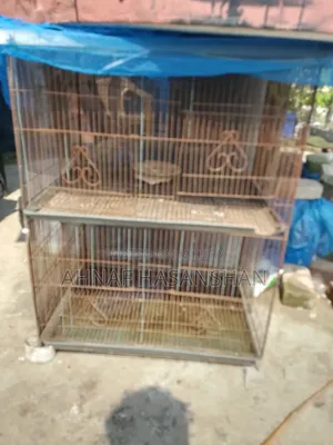 Bird cage