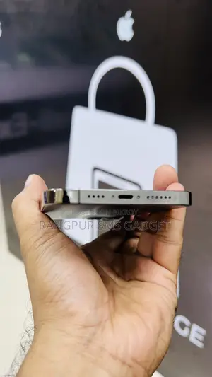 Apple iPhone 12 Pro Max 512 GB Gray
