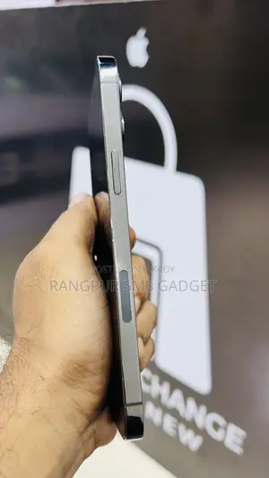 Apple iPhone 12 Pro Max 512 GB Gray