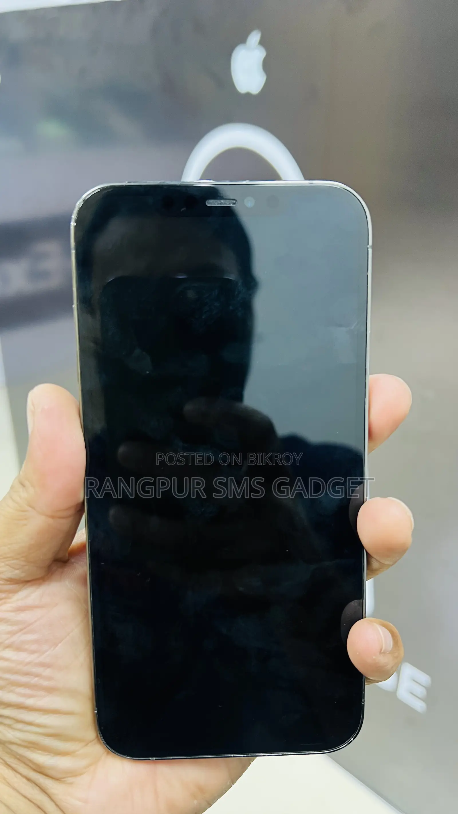 Apple iPhone 12 Pro Max 512 GB Gray