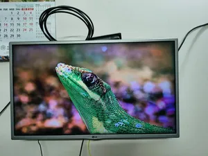 32 Inch Original Showroom TV Non-Smart