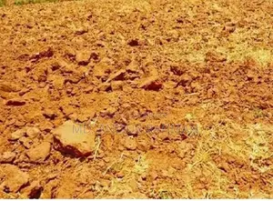সরকারী রাস্তার সাথে ২০ শতাংশ জমি বিক্রয় হবে