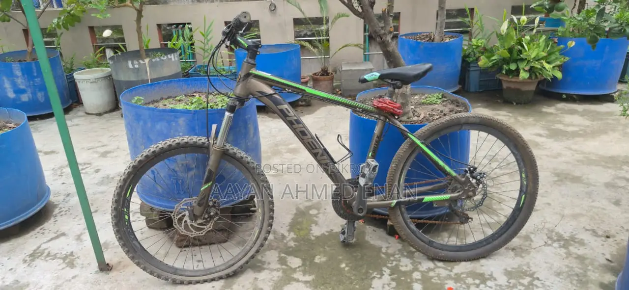 Phoenix Cycle