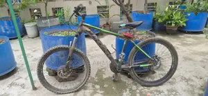Phoenix Cycle