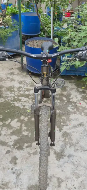Phoenix Cycle