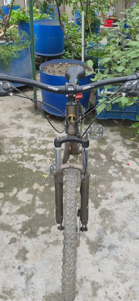 Phoenix Cycle