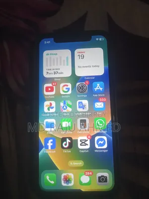 অ্যাপল আইফোন এক্স ২৫৬ জিবি গোল্ড