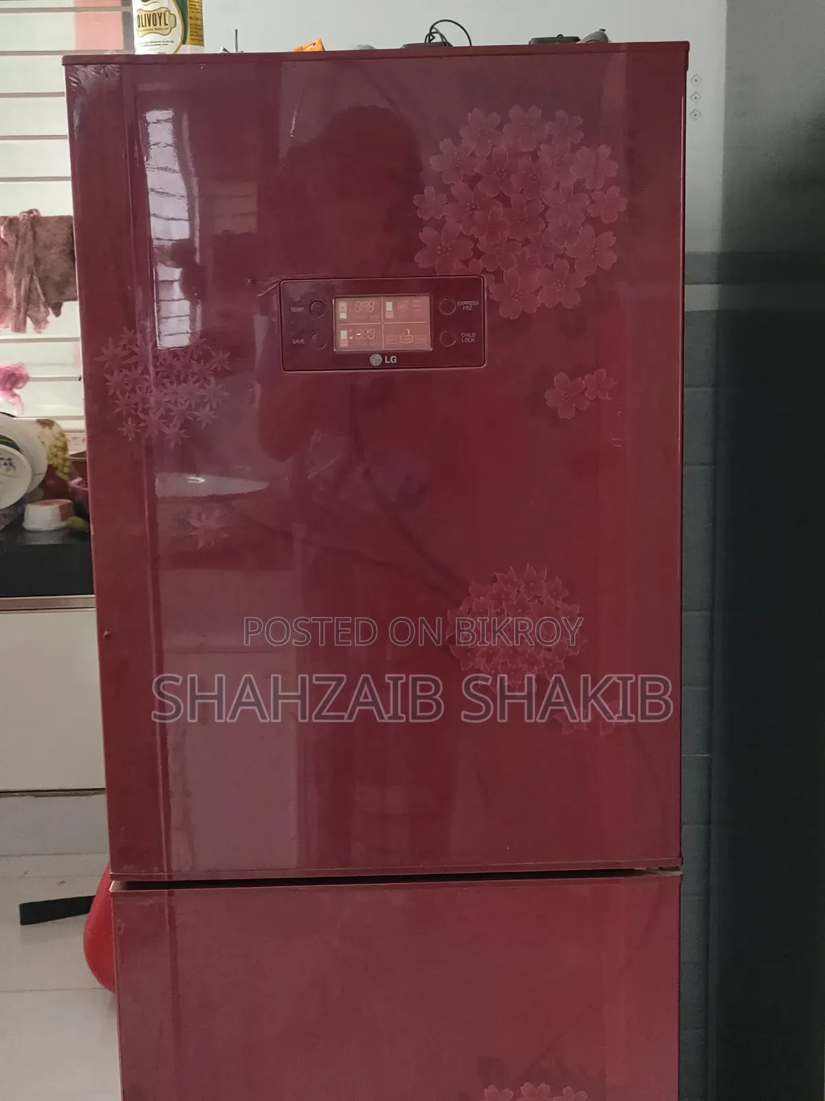 Lg Butterfly Refrigerator.