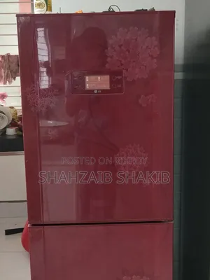 Lg Butterfly Refrigerator.