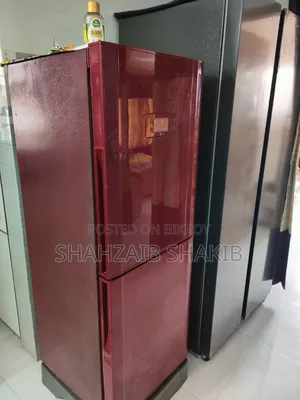 Lg Butterfly Refrigerator.