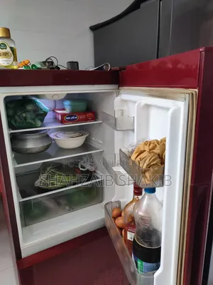 Lg Butterfly Refrigerator.