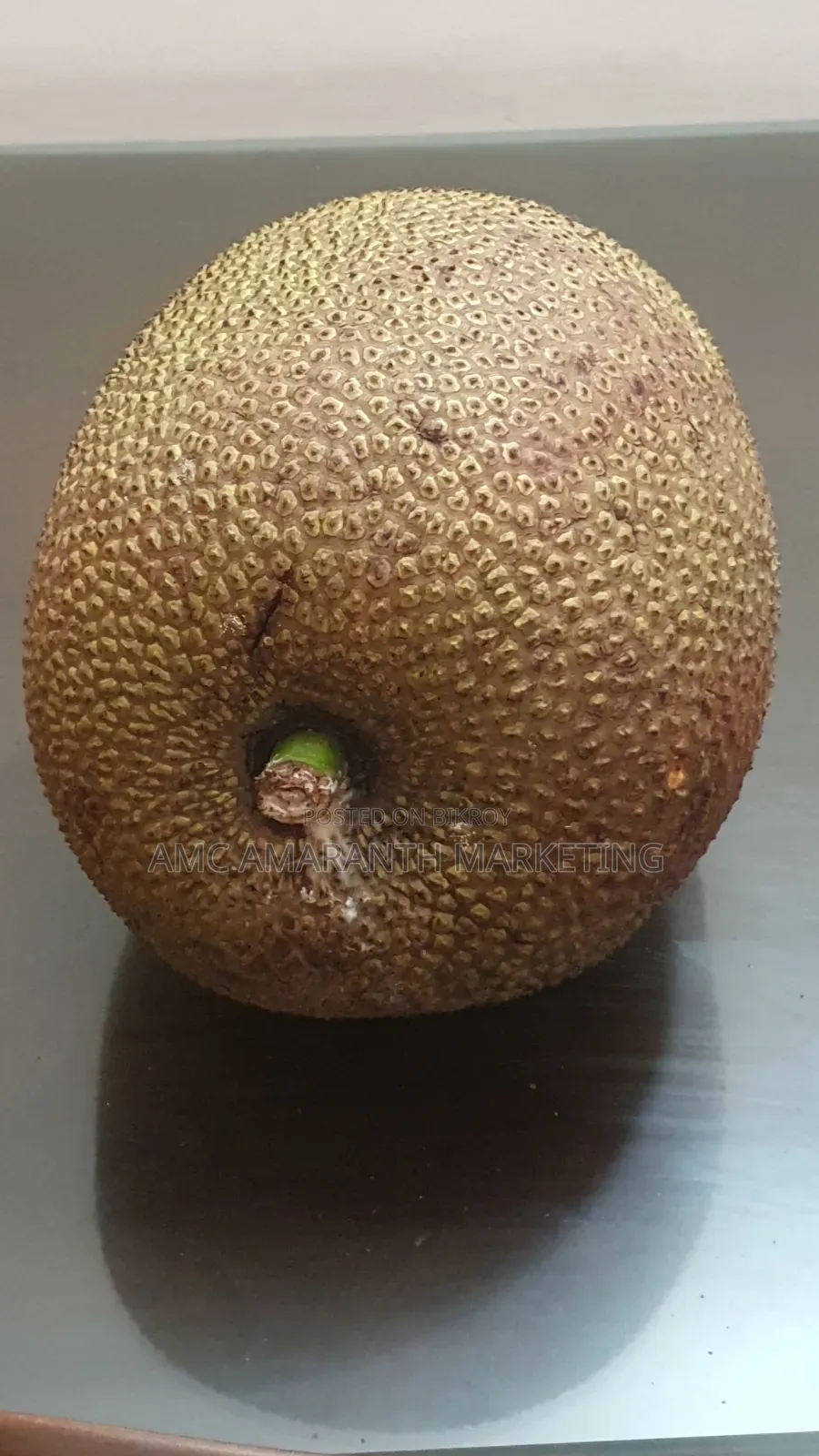 মিস্টি কাঁঠাল