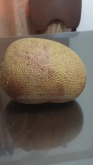 মিস্টি কাঁঠাল