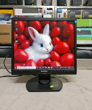 Philips 17-inch Wide Screen HD Monitor Business Class
