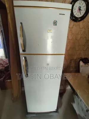 Selling My Fridge Because I Bought a New One, Everything Is Okay