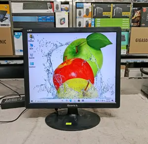 Esonic Es1701 17-inch Square HD LED Monitor