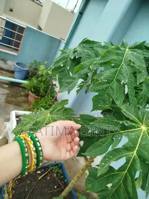 Hand Craft's