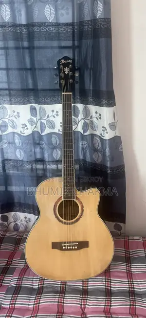 Acoustic Guitar
