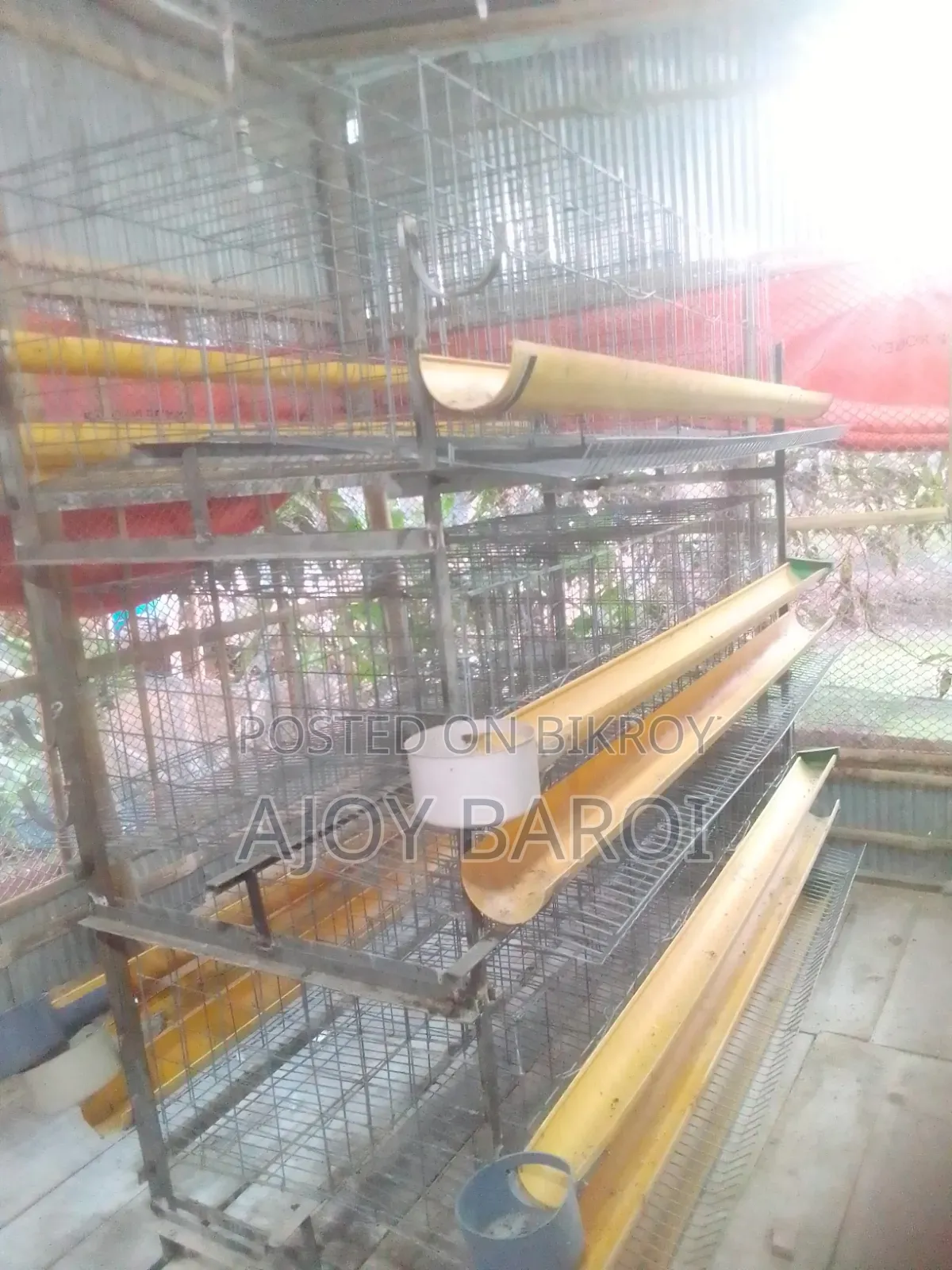 Chicken Cage