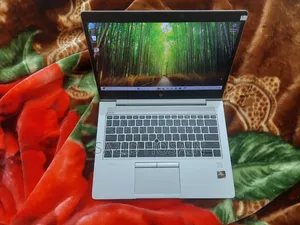 Laptop HP EliteBook 735 G5 16GB AMD Ryzen 5 SSD 256GB