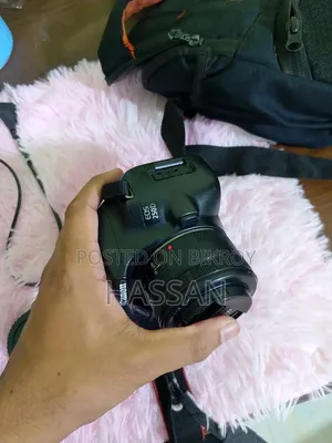 Canon 250d With 18-55stm Prime