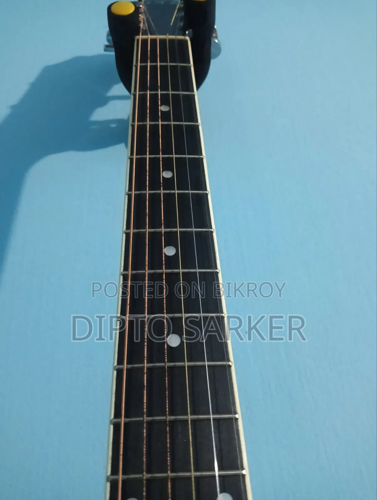 Acoustic Guitar