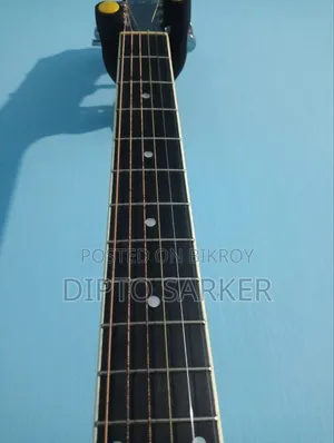 Acoustic Guitar