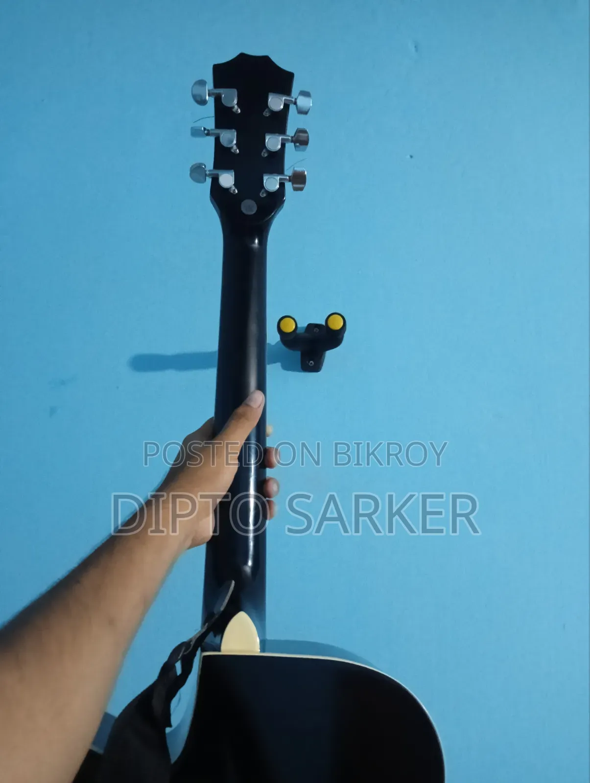 Acoustic Guitar
