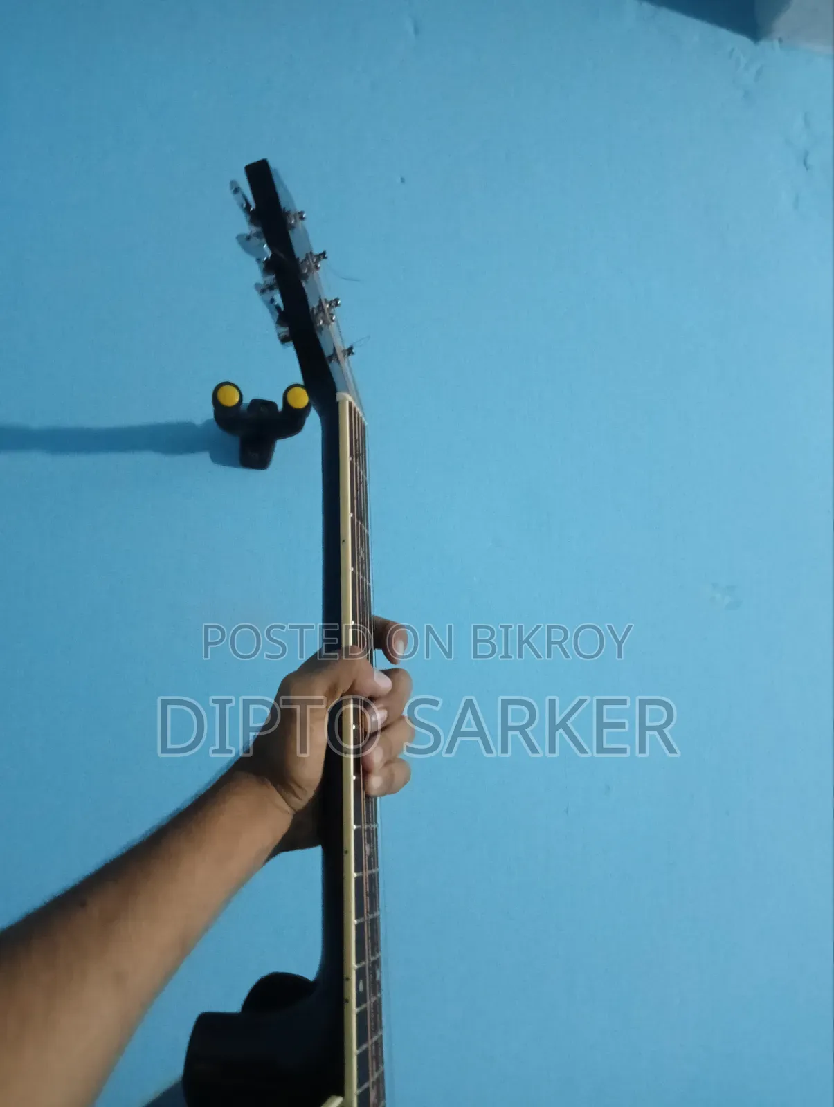 Acoustic Guitar